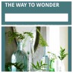 the way to wonder